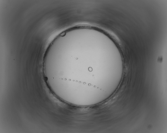 X0000093561279200710150949