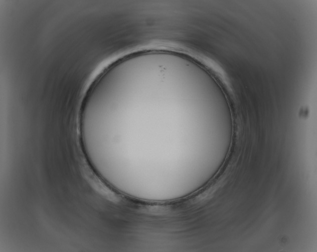 X0000093561280200710150949