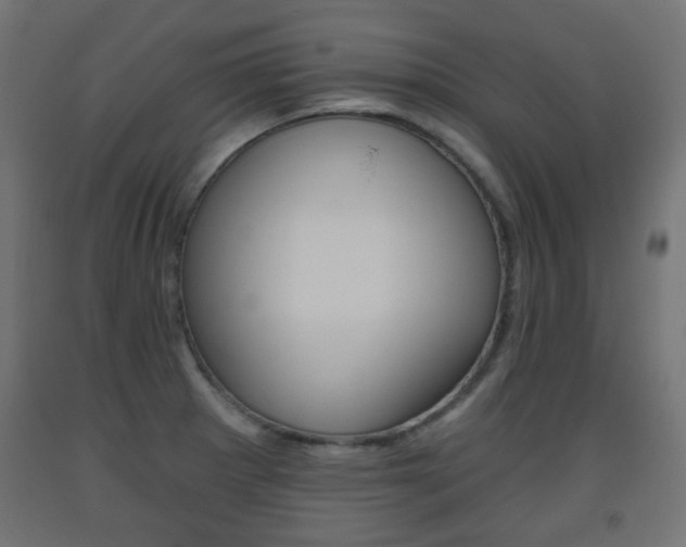 X0000093561281200710150949