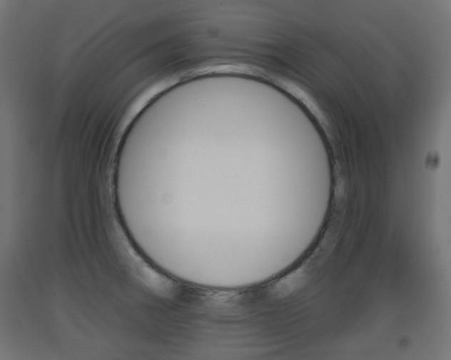 X0000093561282200710150949