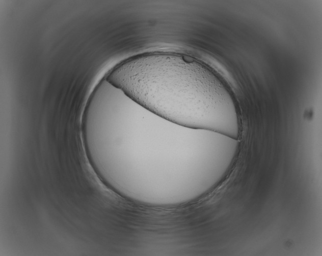 X0000093561283200710150949