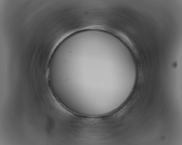X0000093561284200710150949