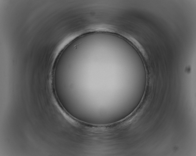 X0000093561285200710150949