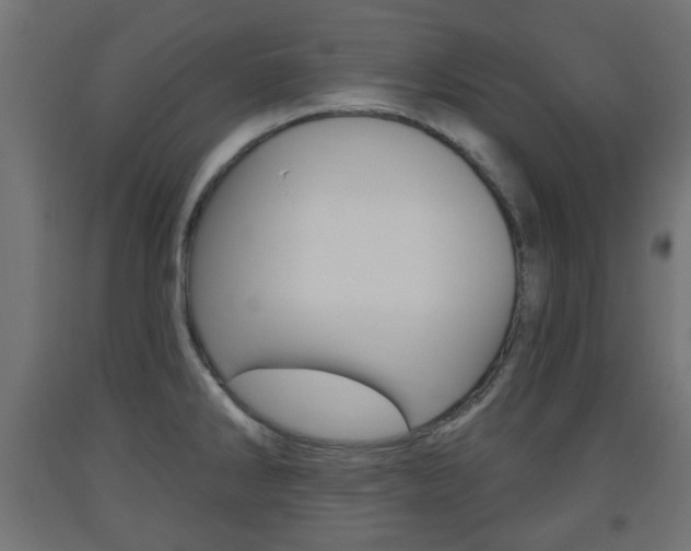 X0000093561286200710150949