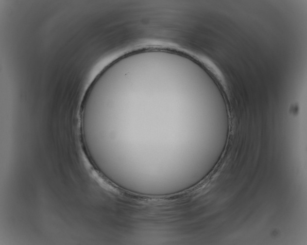 X0000093561287200710150949