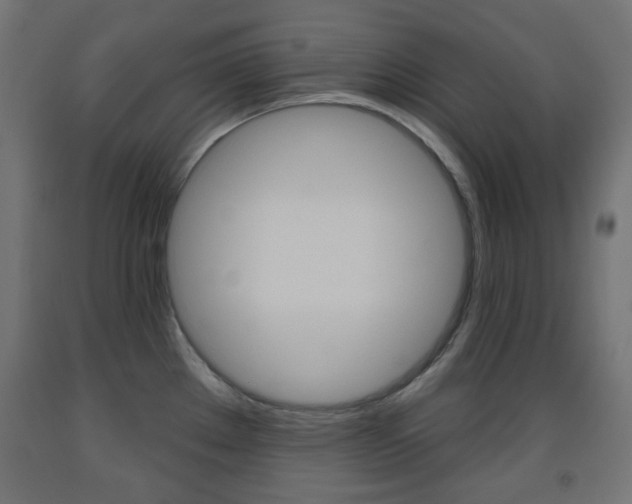 X0000093561289200710150949