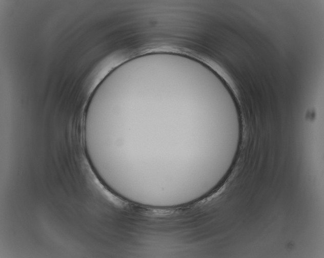 X0000093561290200710150949
