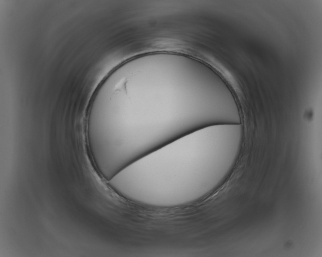 X0000093561291200710150949