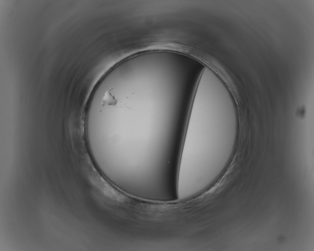 X0000093561292200710150949