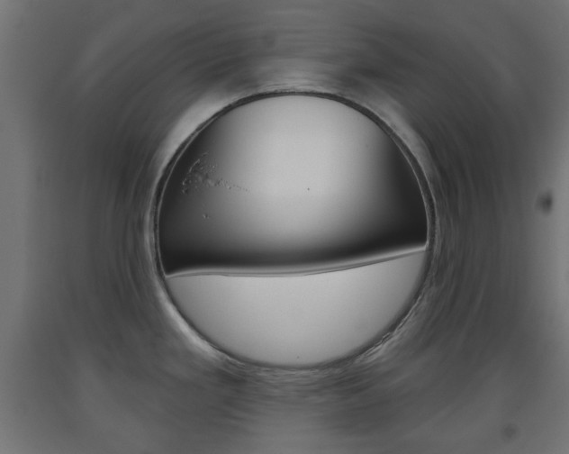 X0000093561293200710150949