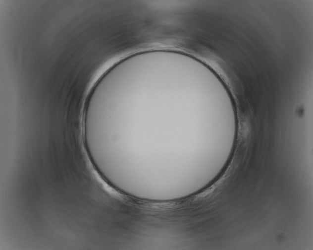X0000093561294200710150949