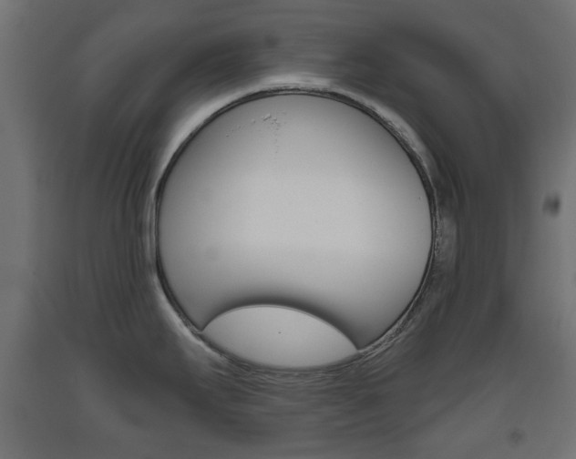 X0000093561295200710150949
