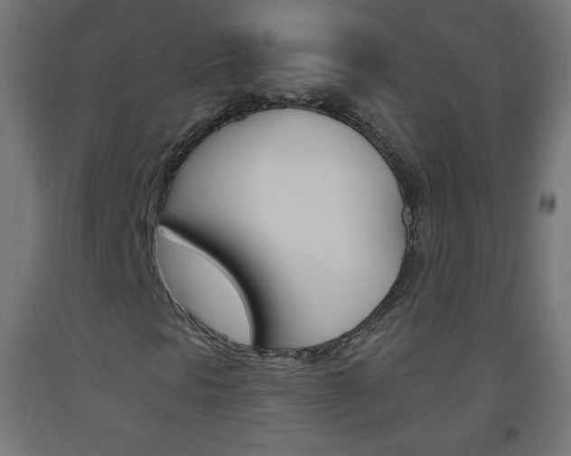 X0000093561297200710150948