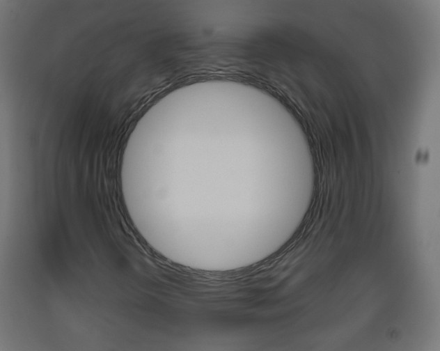 X0000093561298200710150948