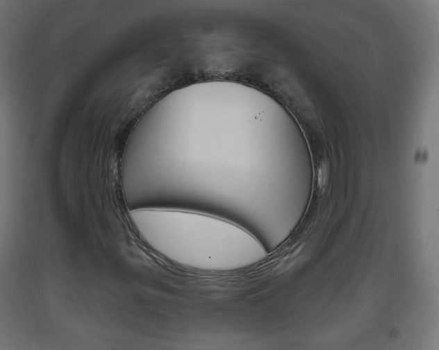 X0000093561299200710150948