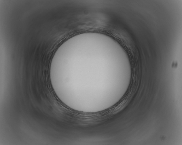X0000093561300200710150948