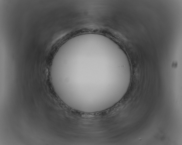 X0000093561302200710150948