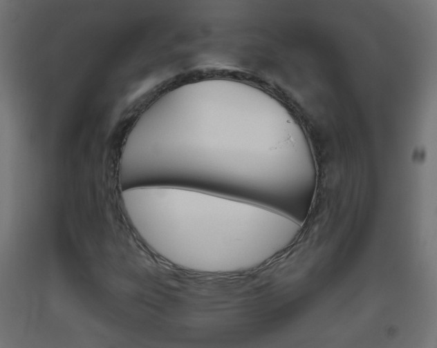 X0000093561303200710150948