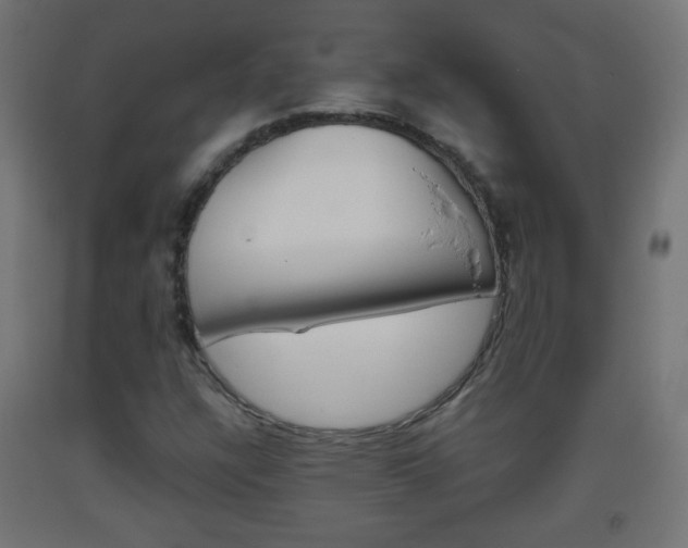 X0000093561304200710150948
