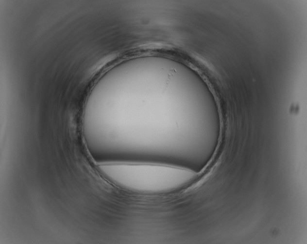 X0000093561305200710150948