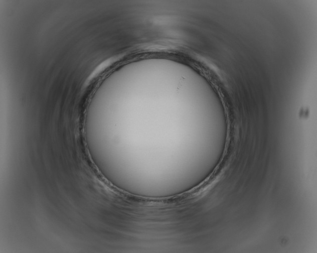 X0000093561306200710150948
