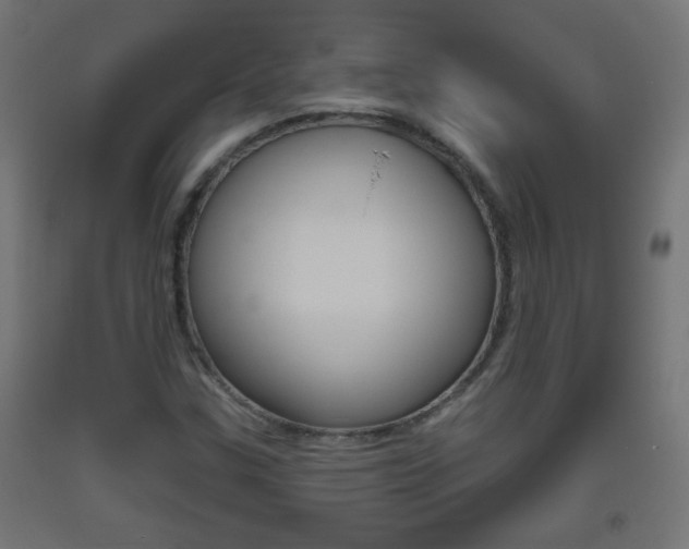 X0000093561307200710150948