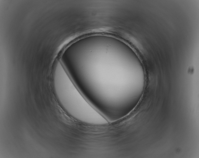 X0000093561308200710150948