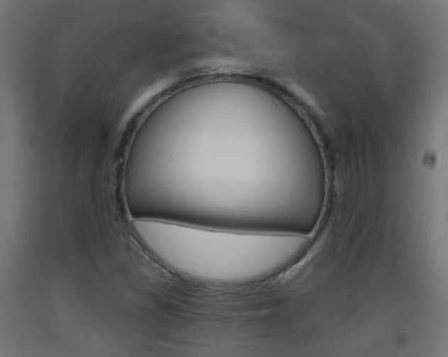 X0000093561309200710150948