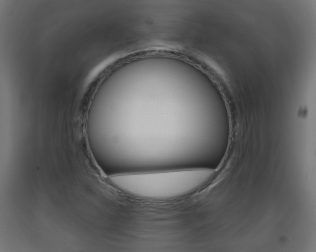X0000093561310200710150948