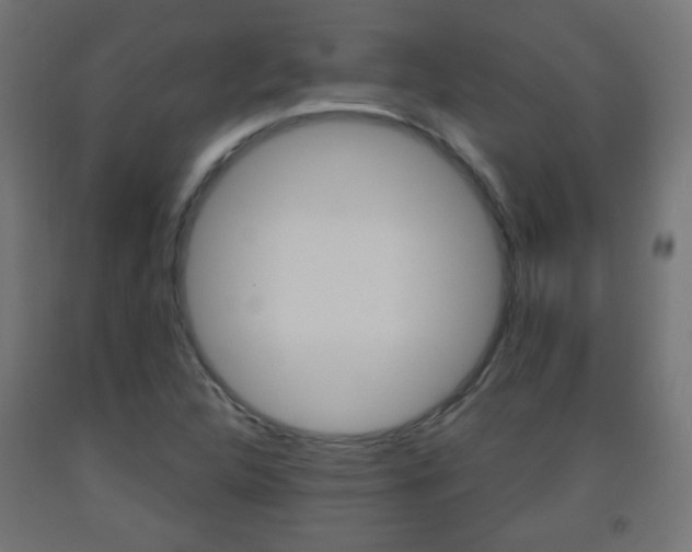 X0000093561312200710150948