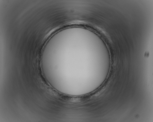X0000093561313200710150948