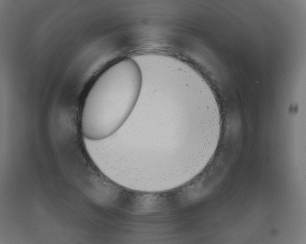 X0000093561314200710150948
