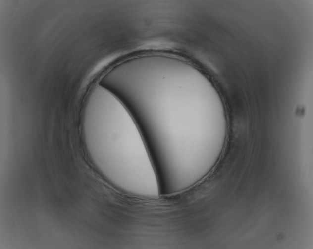X0000093561315200710150948