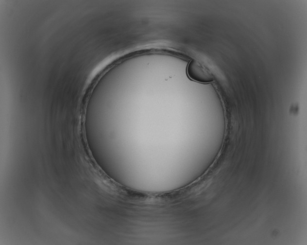 X0000093561316200710150948