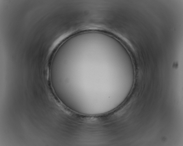 X0000093561317200710150948
