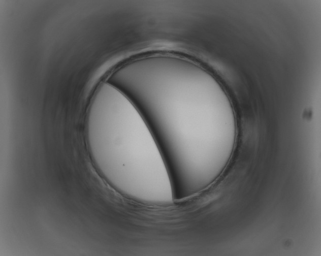 X0000093561318200710150948