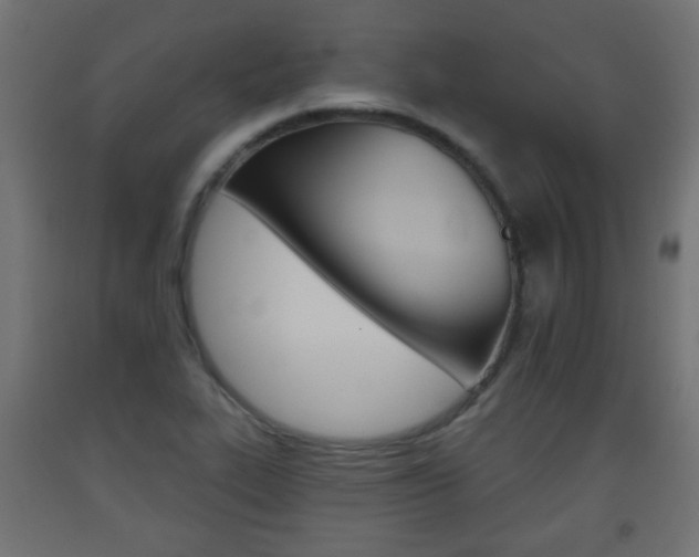 X0000093561319200710150948