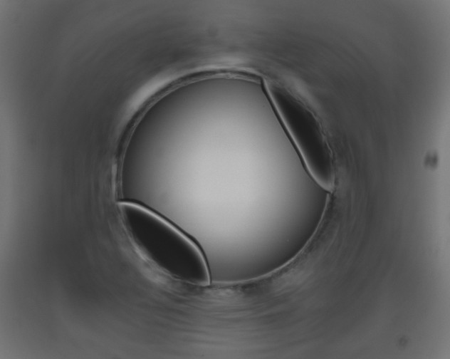 X0000093561320200710150948