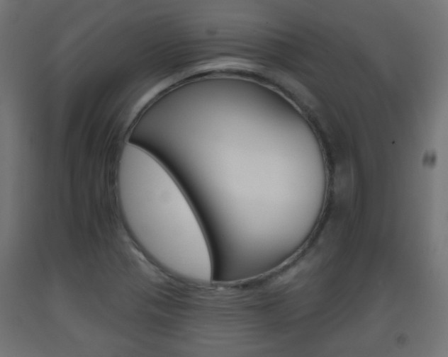 X0000093561321200710150948