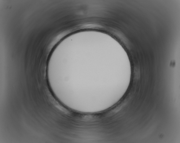 X0000093561322200710150948