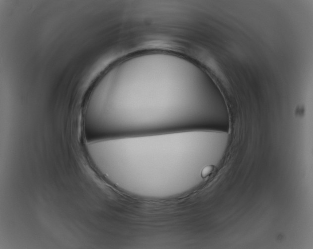 X0000093561323200710150948