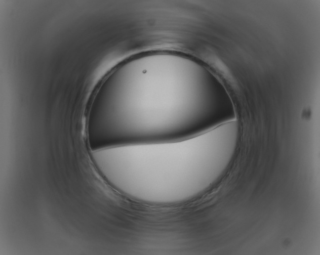 X0000093561324200710150948