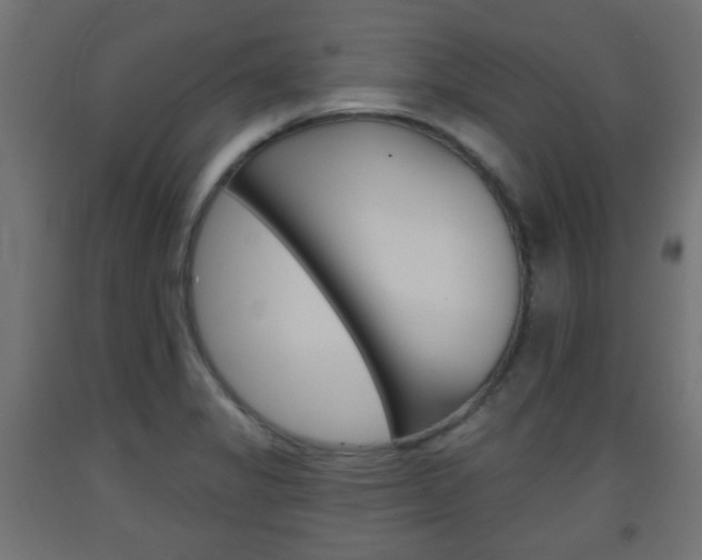 X0000093561325200710150948
