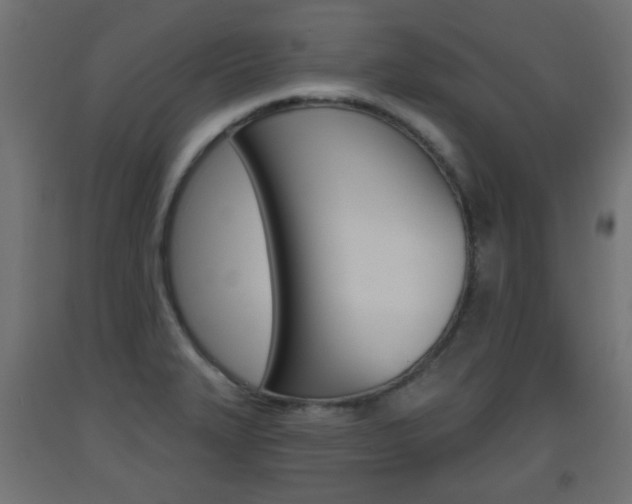 X0000093561327200710150949