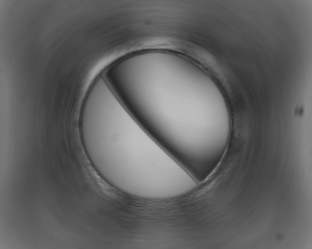 X0000093561328200710150949