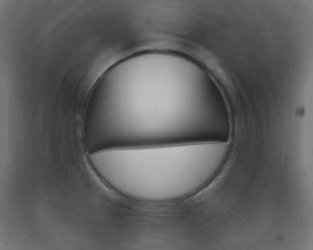 X0000093561329200710150949