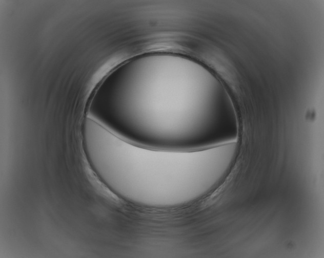 X0000093561330200710150949