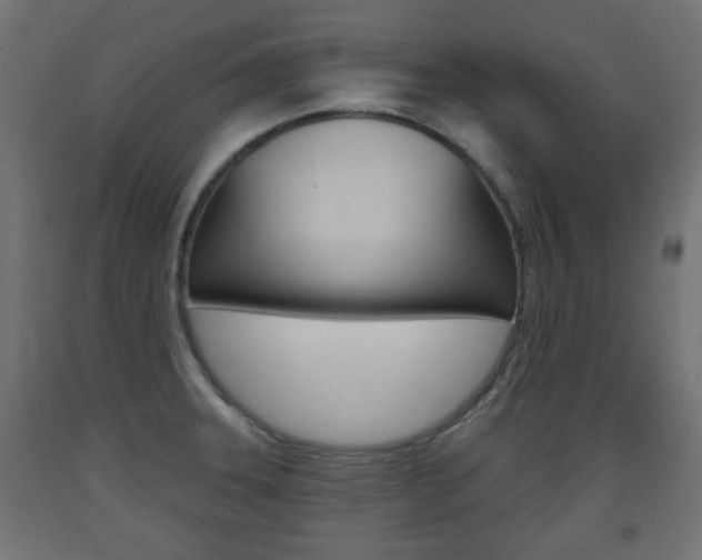 X0000093561331200710150949
