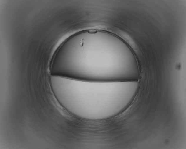 X0000093561332200710150949