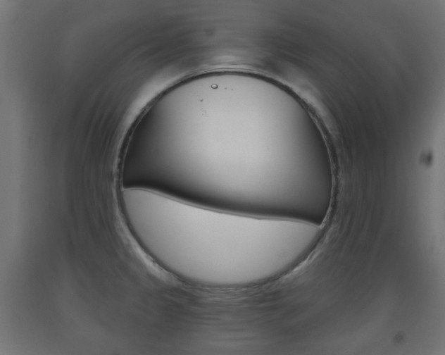 X0000093561333200710150949